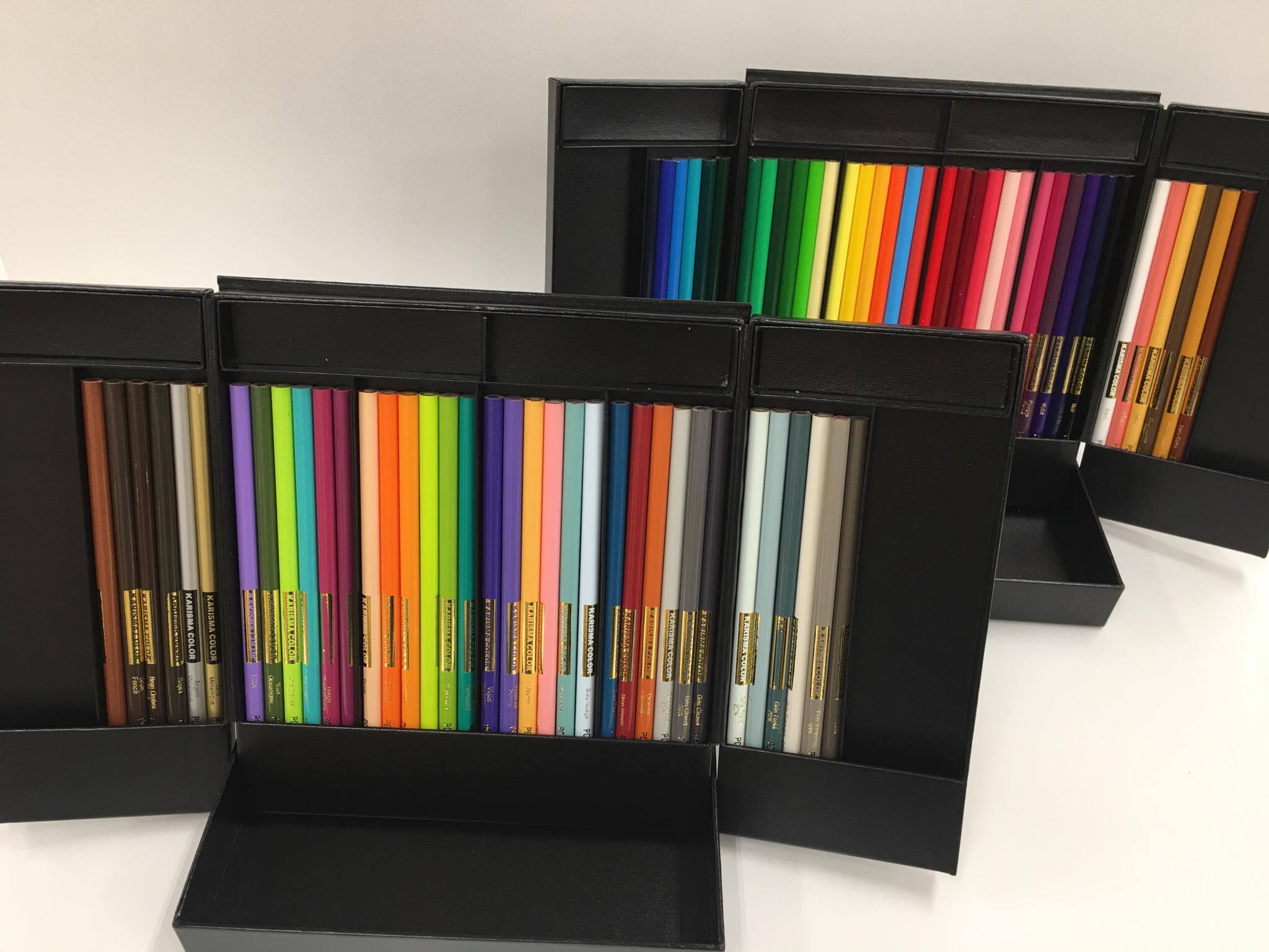KARISMA COLOR色鉛筆12色 – 河内洋画材料店